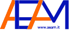 www.aeam.it